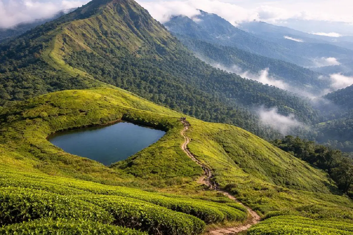 Wayanad view 3