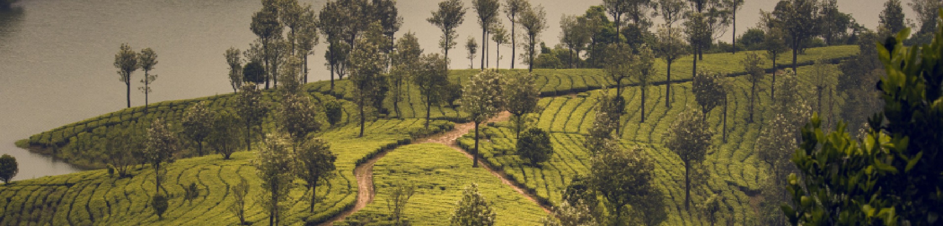 Idukki